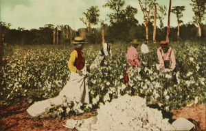 An illustrated depiction of African American people picking cotton