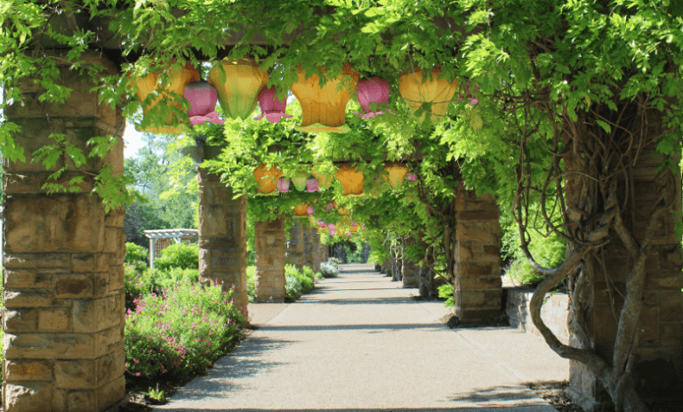 Fort Worth Botanic Garden Trellis Lane