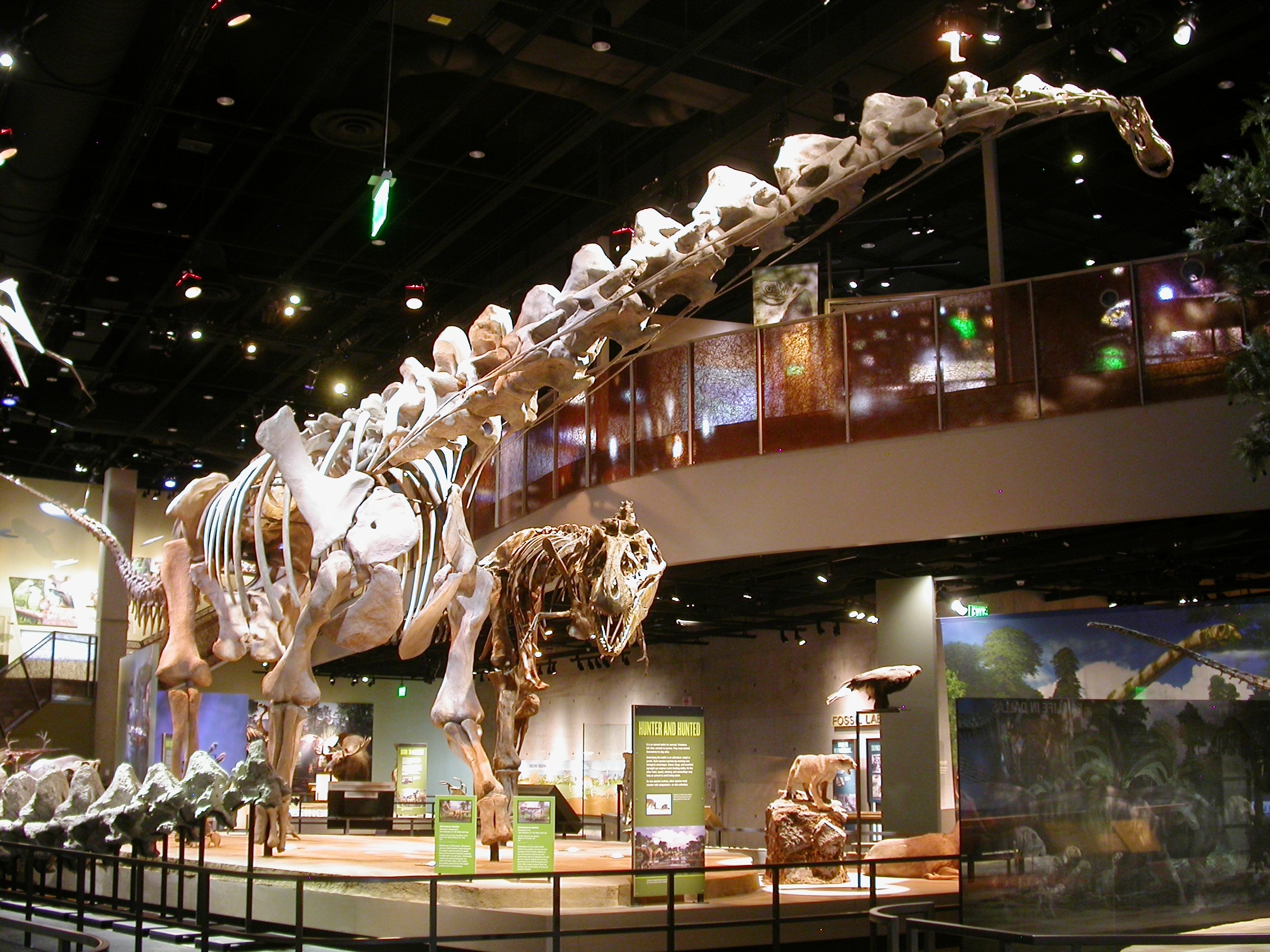 Perot Museum of Nature and Science – A Museum For All Ages
