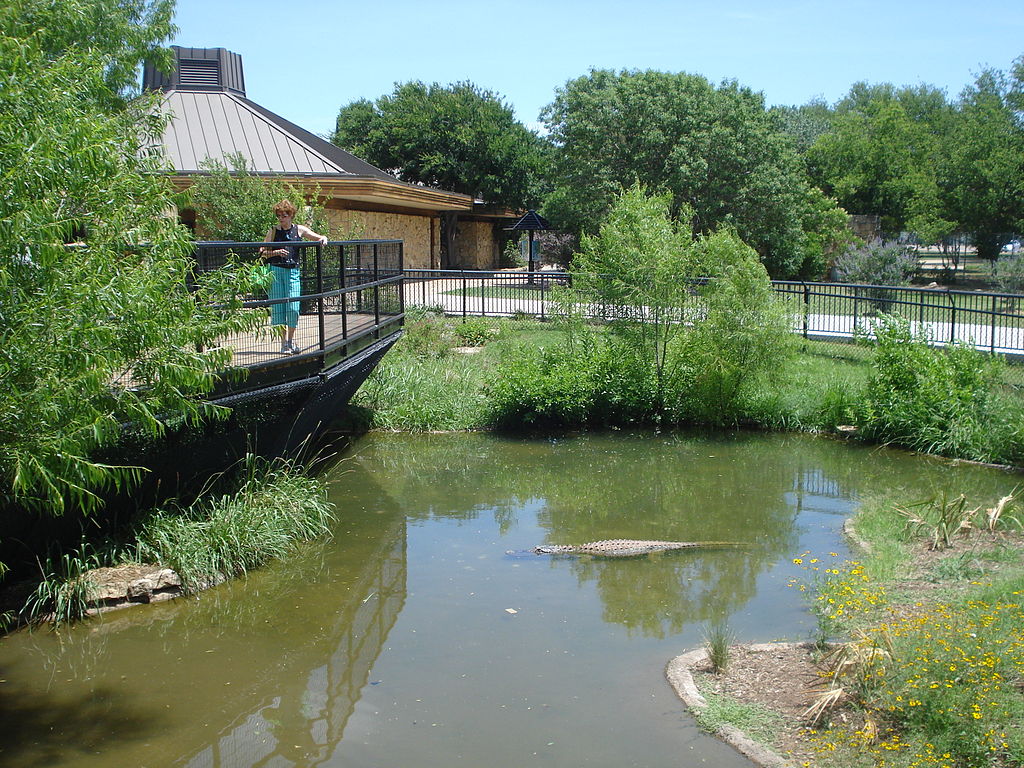 Family-Friendly Amenities and Services