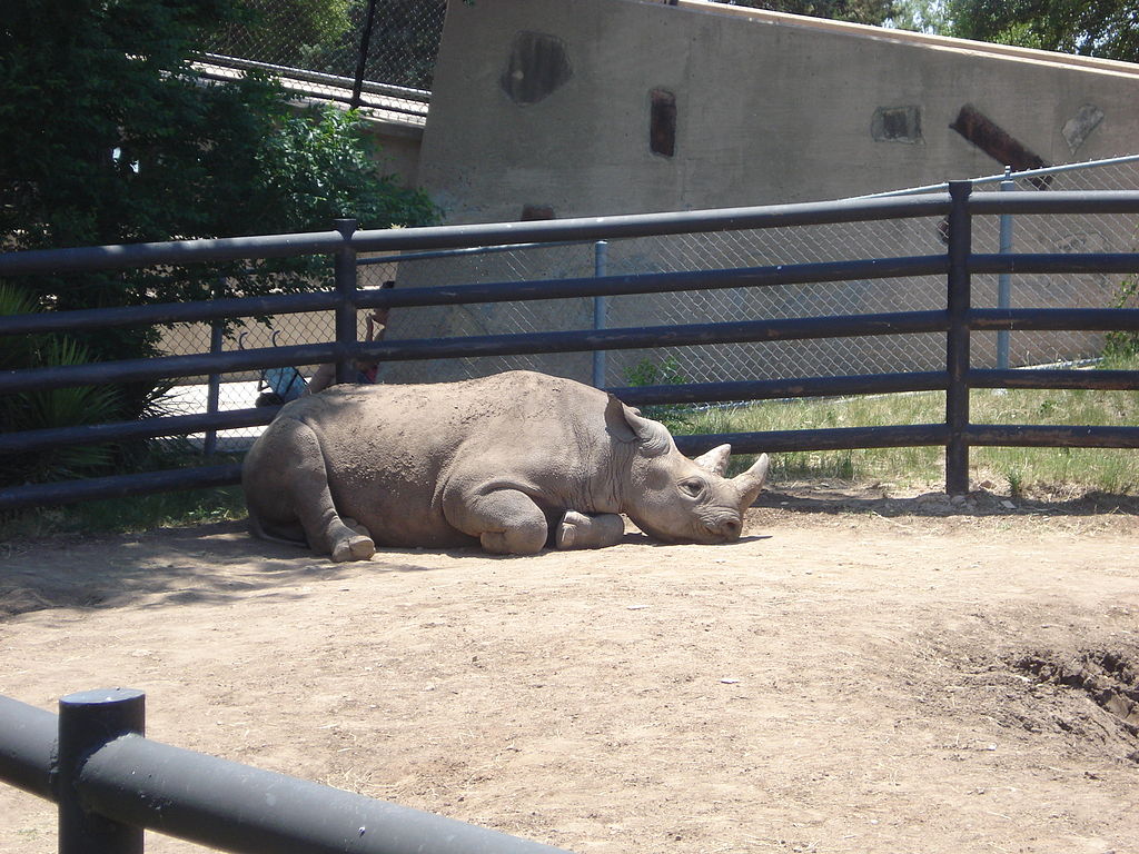 Popular Animal Exhibits and Wildlife Encounters