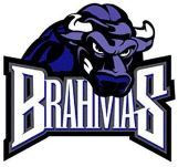 Texas Brahmas Logo