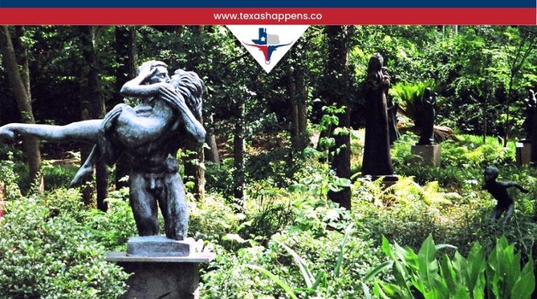 Why Visit the Umlauf Sculpture Garden in Austin?