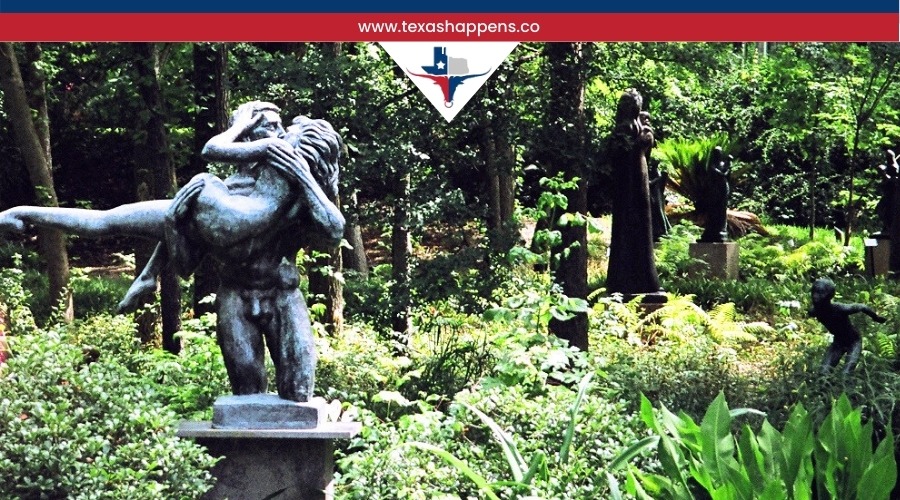 Why Visit the Umlauf Sculpture Garden in Austin?