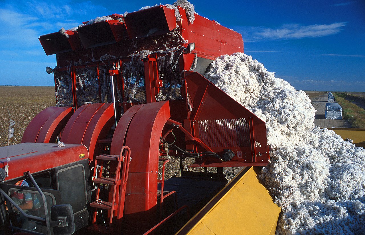 Rise of Cotton and Cattle Industries