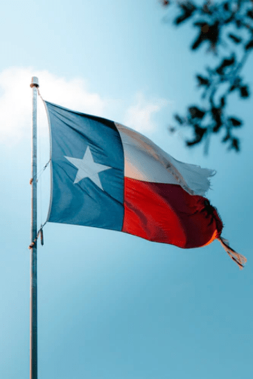 Texas Flag