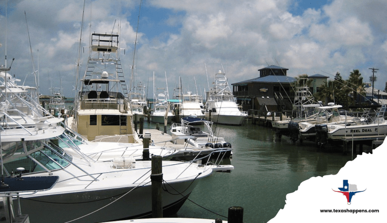 Best Attractions & Activities in Port Aransas, Texas