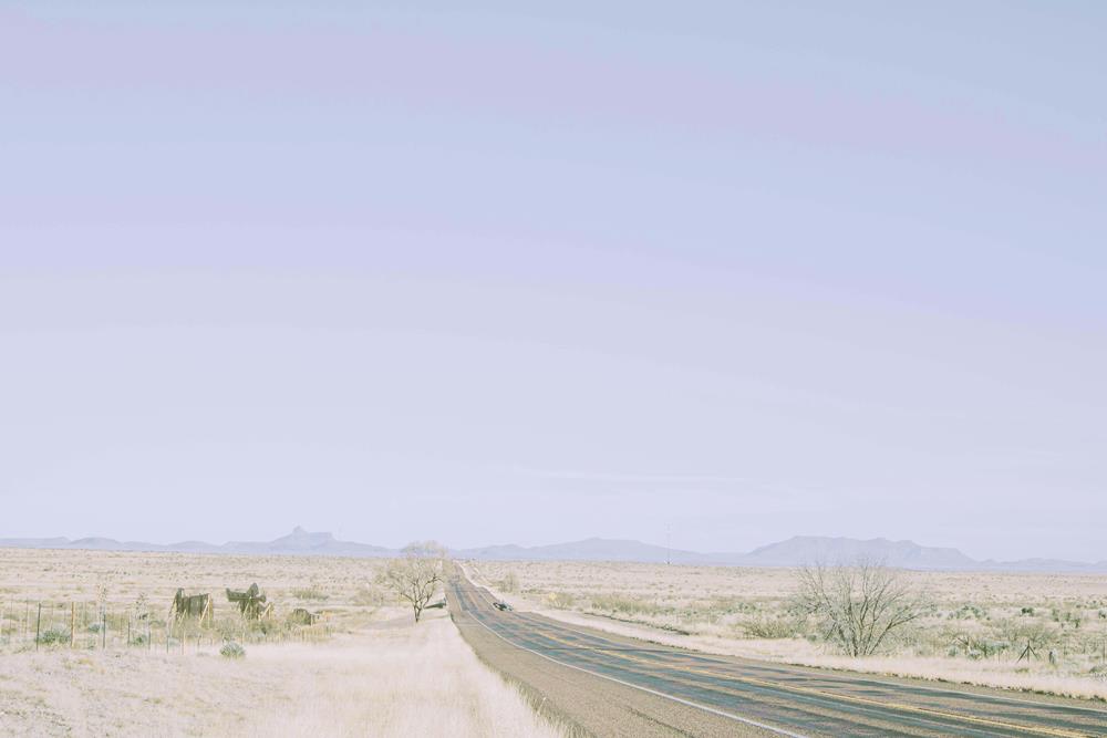 A road between dry grass fields in Marfa, Texas