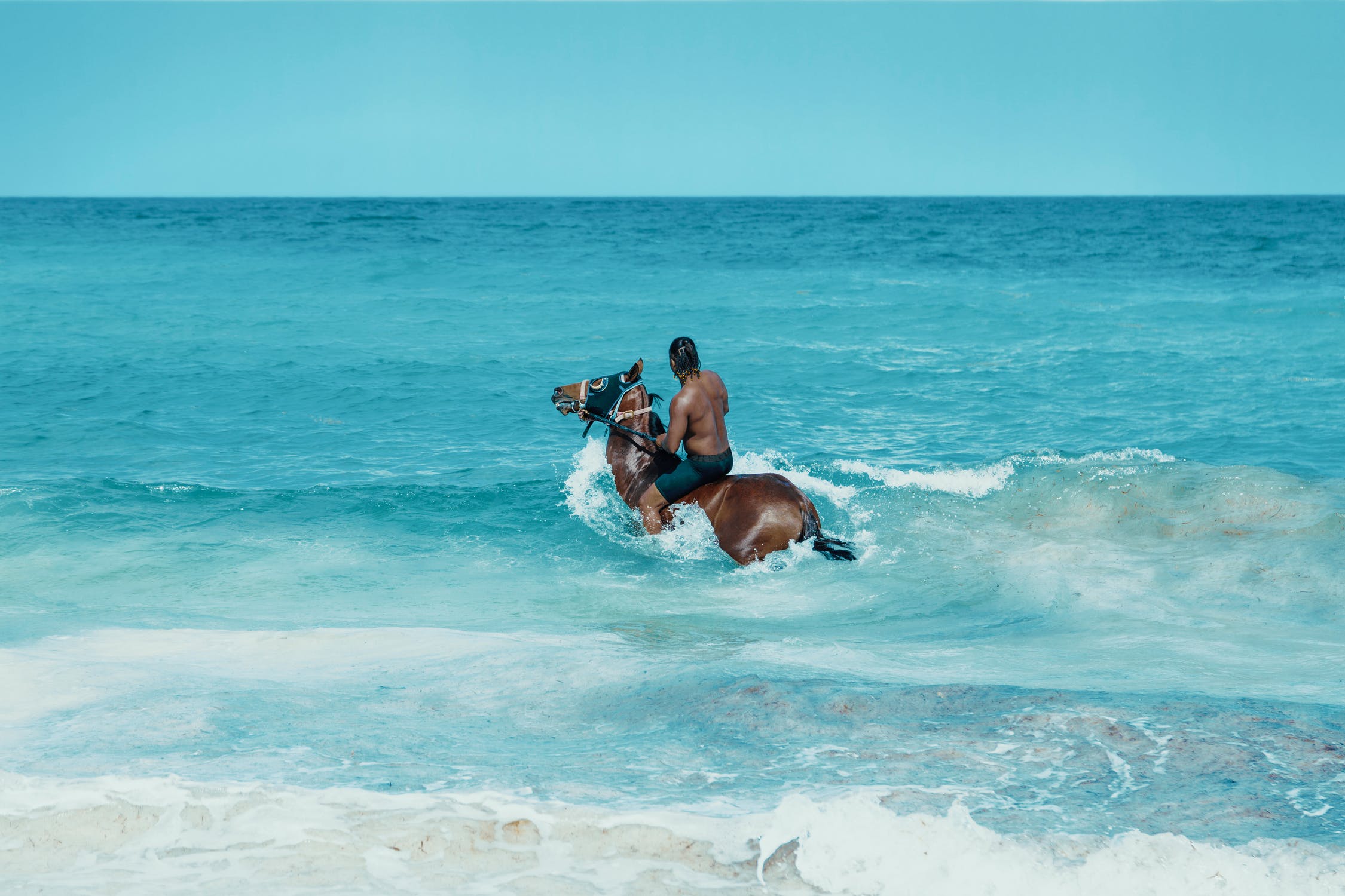 ocean horse back riding