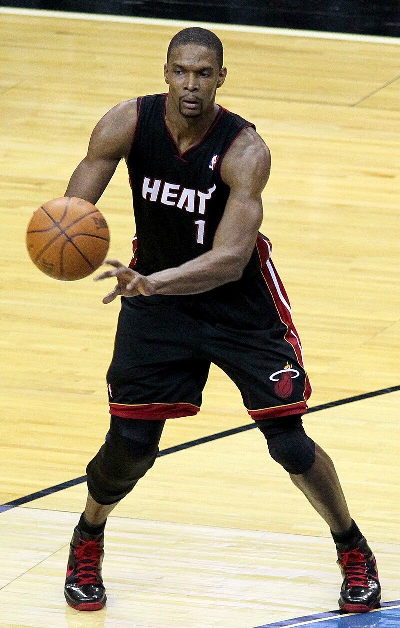 Bosh in 2010
