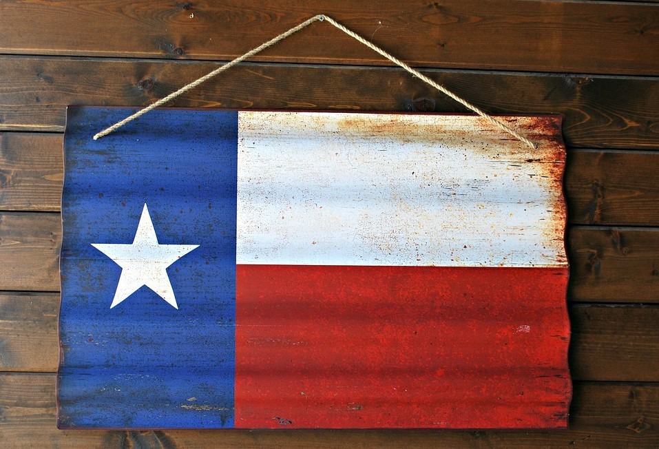 the Texas state flag