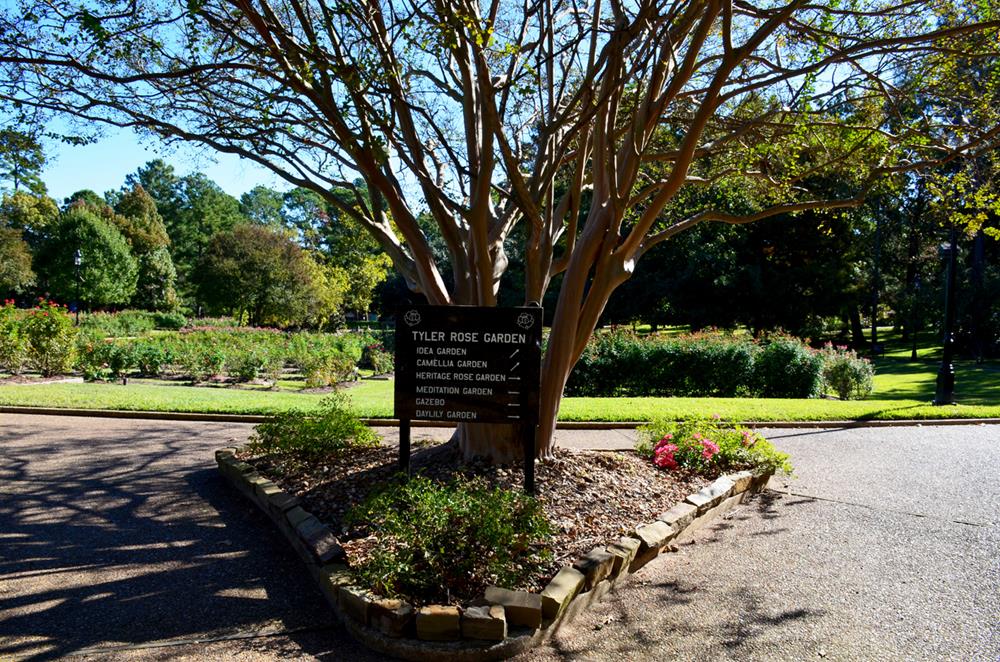 Tyler Rose Garden