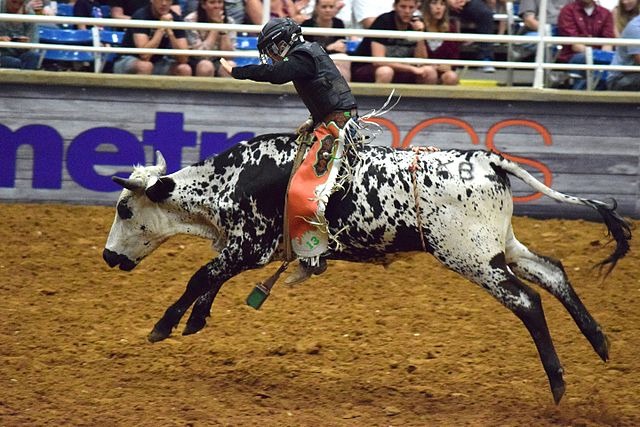 Championship Rodeo in Mesquite, TX)