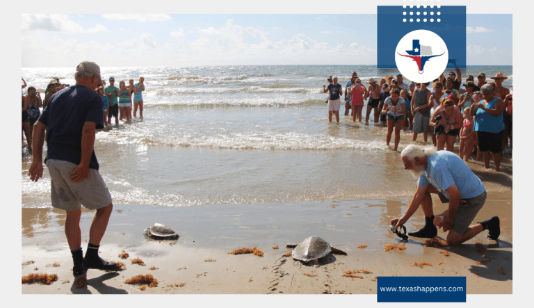 Port Aransas Attractions That Make It Ideal for Texas Snowbirds