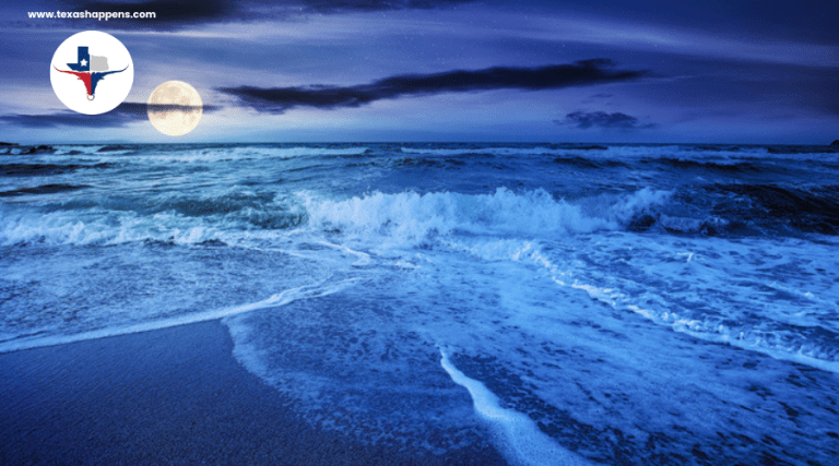 How Does the Moon Affect Ocean Tides?