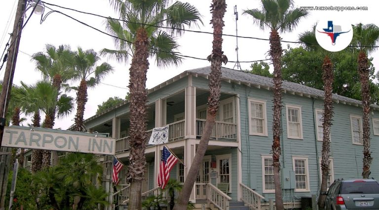 What Are the Top Attractions in Port Aransas