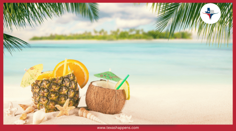 Best Drinks for a Day at the Beach