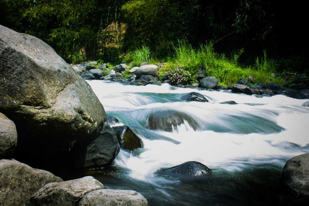Comal River
