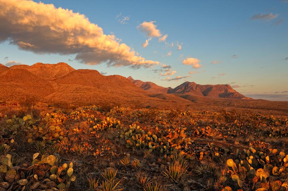 Desert mountains in El Paso