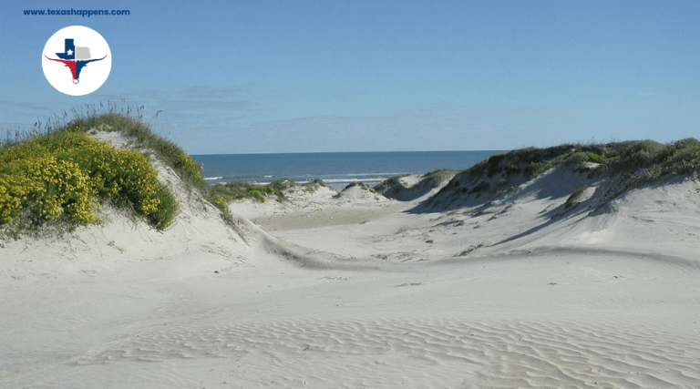 Best Beaches Close to Austin