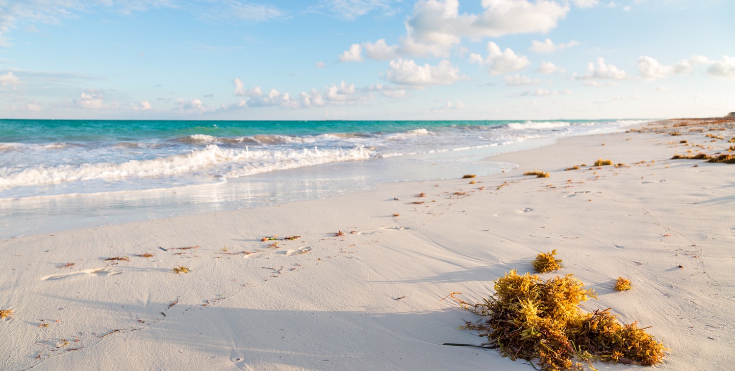 Isla Blanca Beach