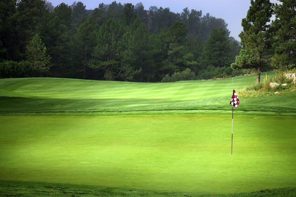 a golf course with a flag and surrounded by trees