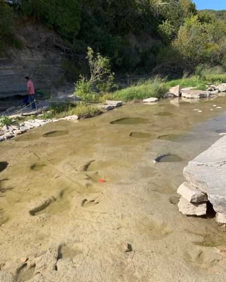 a river with dinosaur footprints