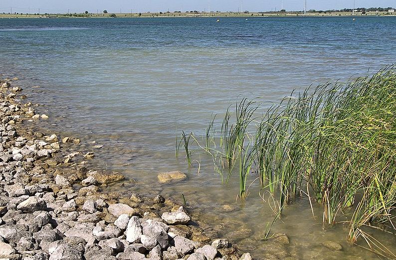 rocks and grass at Lake Pflugerville Beach