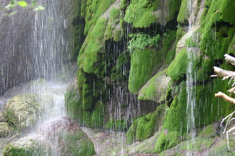 the base of the Gorman Falls