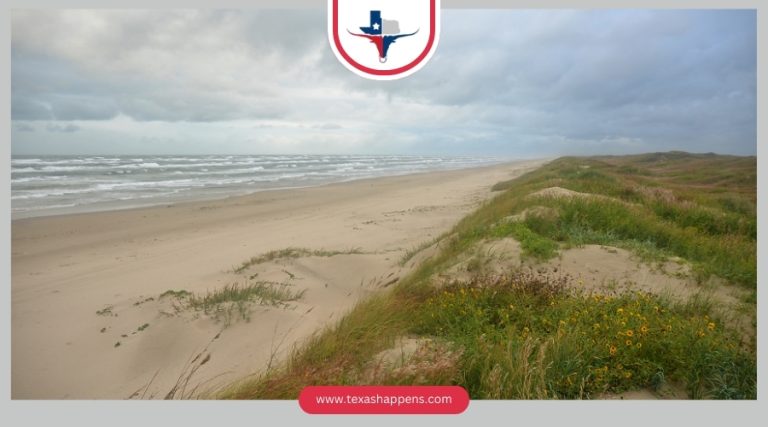 Why Padre Island National Seashore Is a Must Visit Destination?