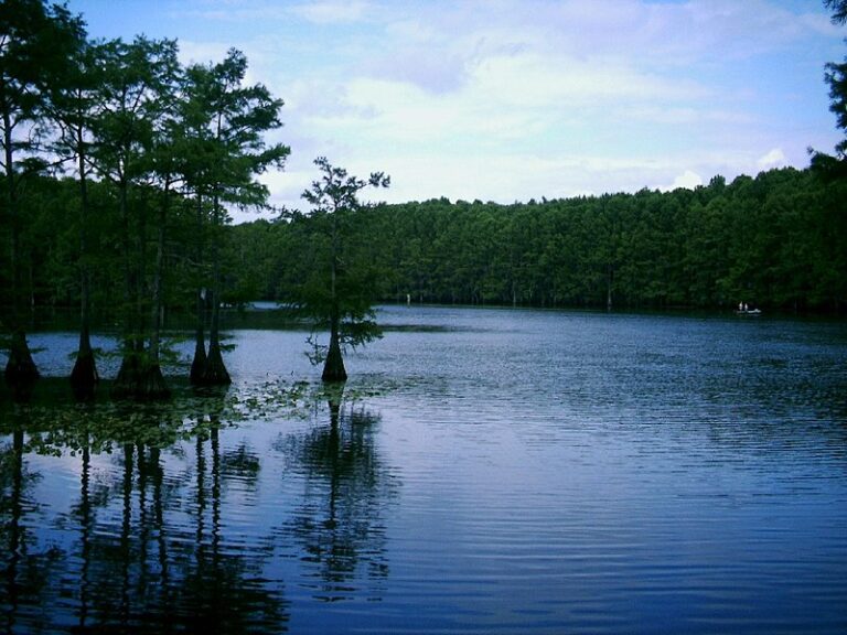 Caddo Lake State Park