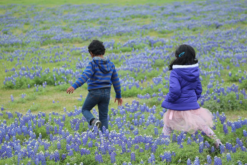 Children running in a field of bluebonnet