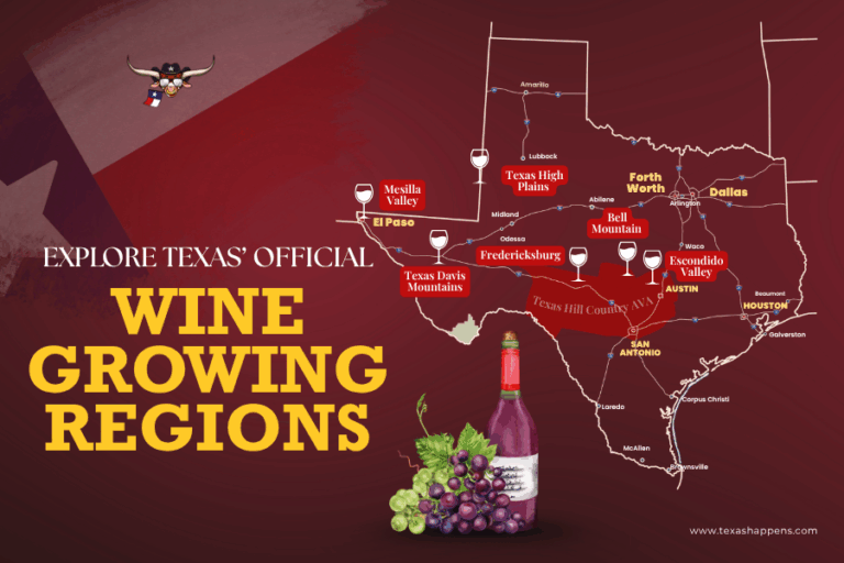Explore Texas’ Official Wine Growing Regions