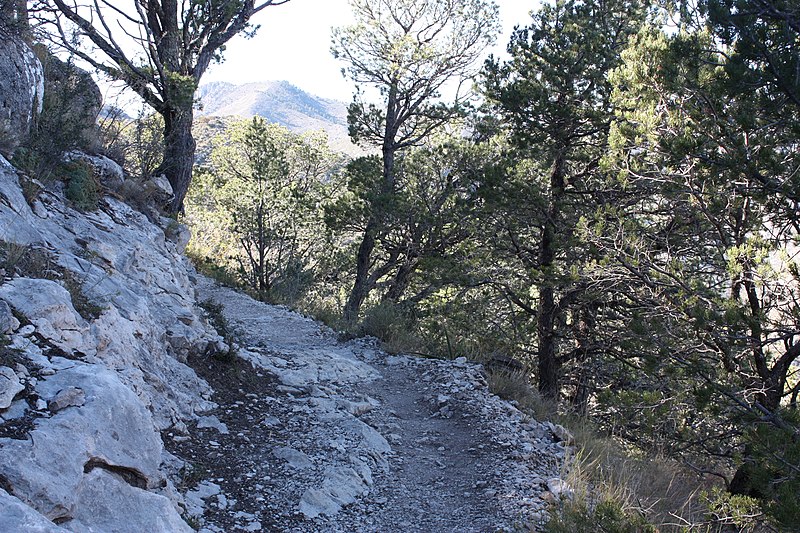Guadalupe Hiking Trail