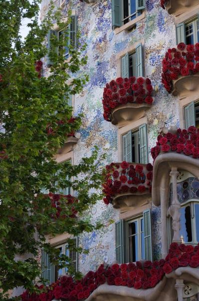 Red Roses Decorated on a Balcony