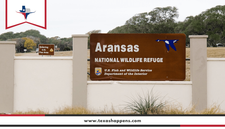 Exploring Aransas National Wildlife Refuge in Texas