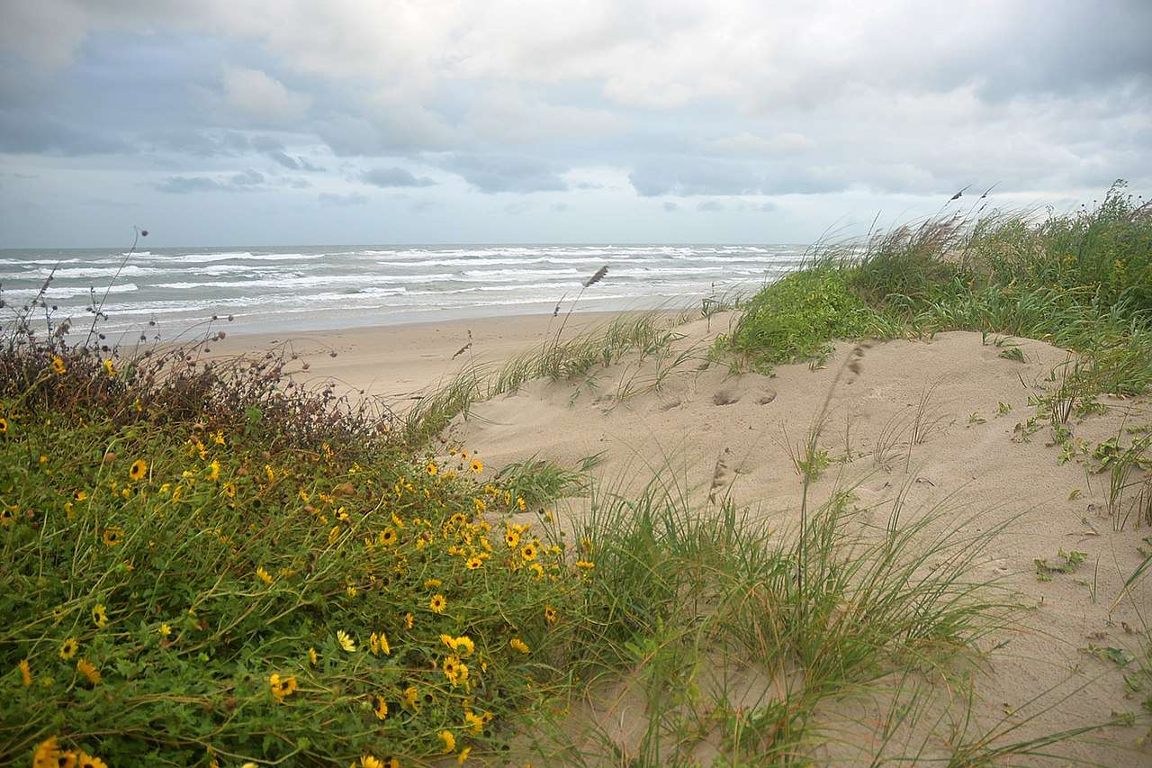 North Padre Island National Seashore