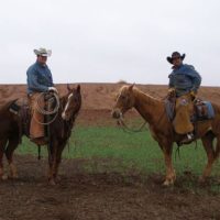 Learn About the Vaqueros, the Original Cowboys of Texas