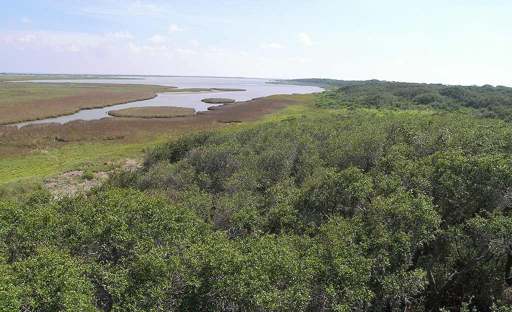 A relaxing view of Aransas National Wildlife Refuge, Aransas County, Texas, United States