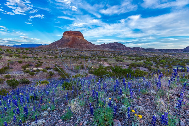 Big Bend National Park