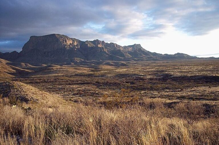 Big_Bend_Chihuahuan_Desert