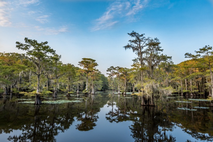 Caddo Lake State Park