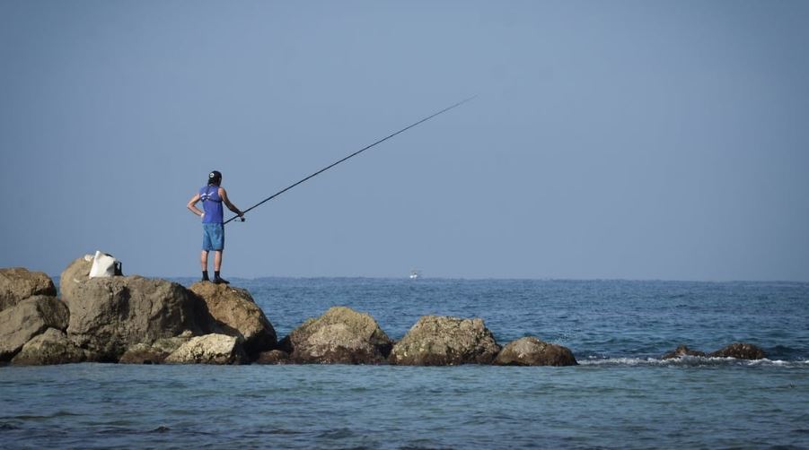 Fishing is allowed in some strategic areas of the refuge.