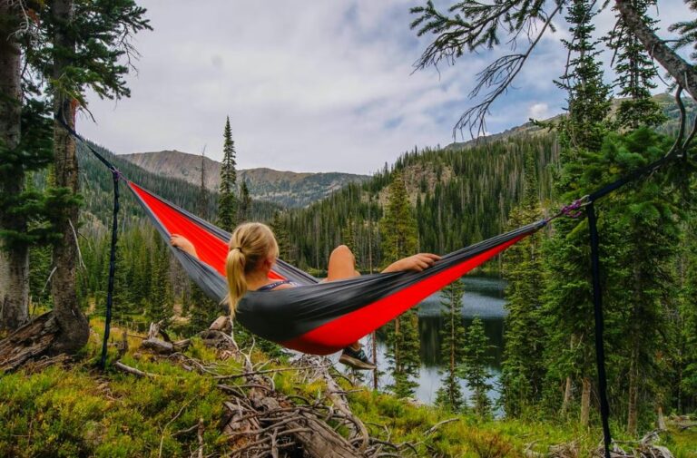 Hd Forest Wallpapers, Lifestyle, Nature Images