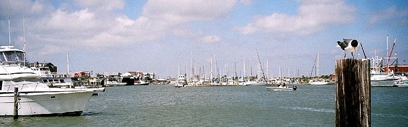 Port Aransas Marina