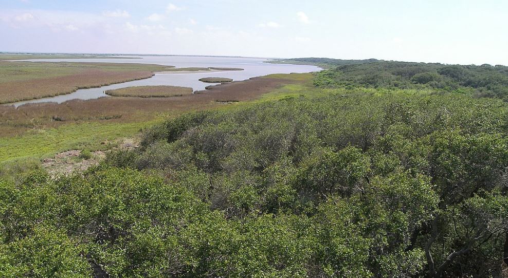 Wetlands along the Aransas River in Aransas County, Texas, USA.