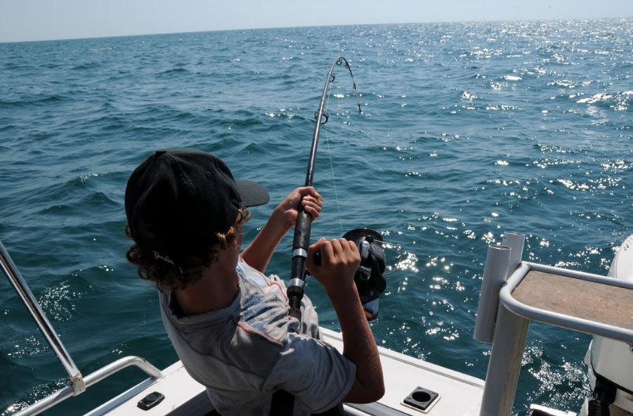 While enjoying a boating experience, fishing can be another fulfilling alternative