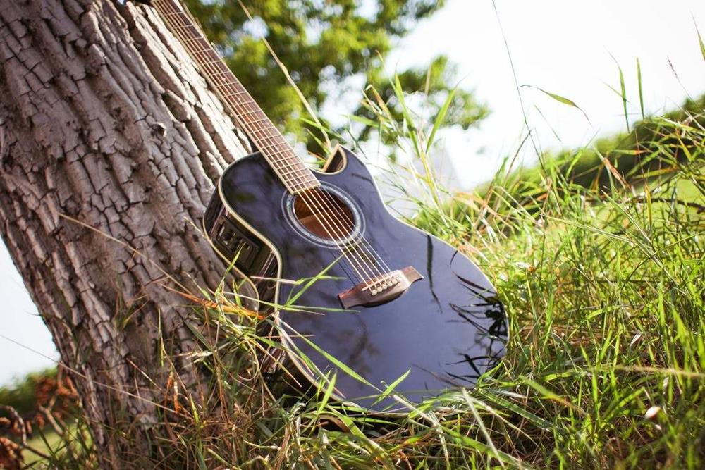 Acoustic guitar on the side of a tree
