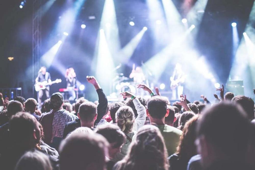 Concert audience
