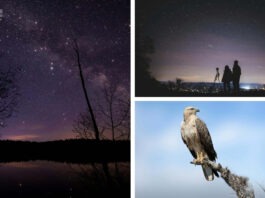 Learn About Eagle Eye Observatory in Burnet County, Texas
